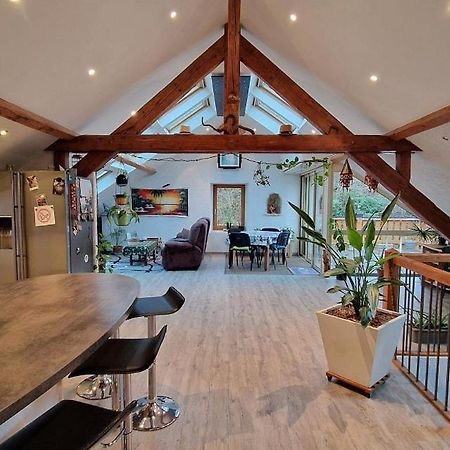 Bel Appartement 120 M² Tres Lumineux Avec Terrasse Morvillars Экстерьер фото